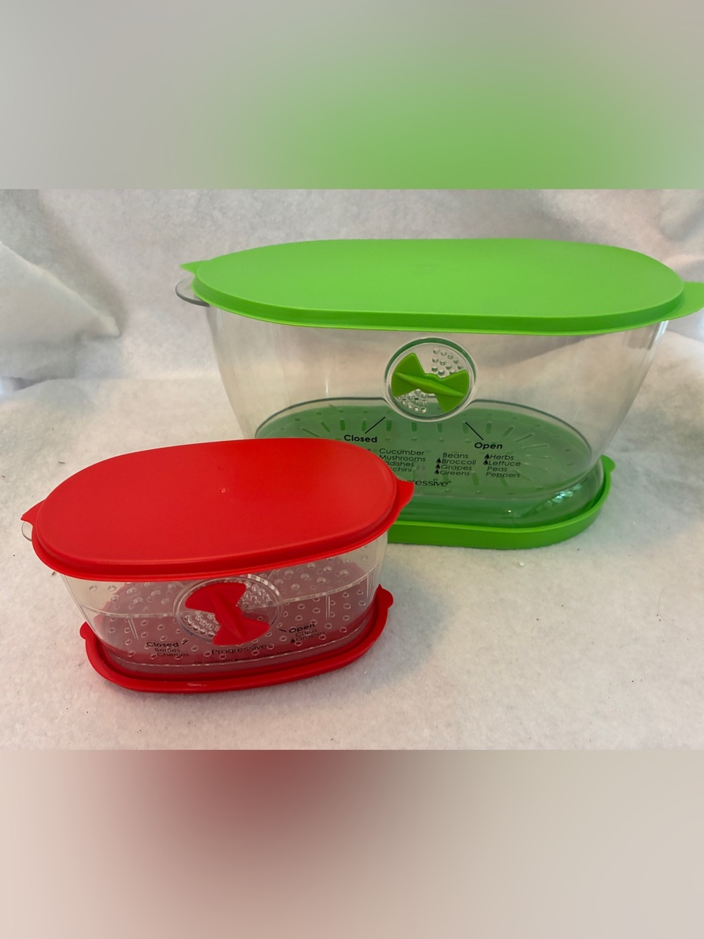 Prepworks by Progressive Vegetable and Berry Keeper Containers